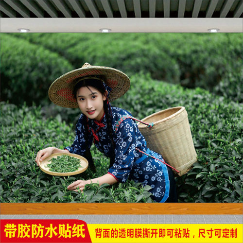 新中式国风采茶少女茶园宣传贴纸