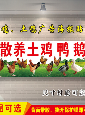 家禽店农家散养土鸡土鸭鹅广告牌