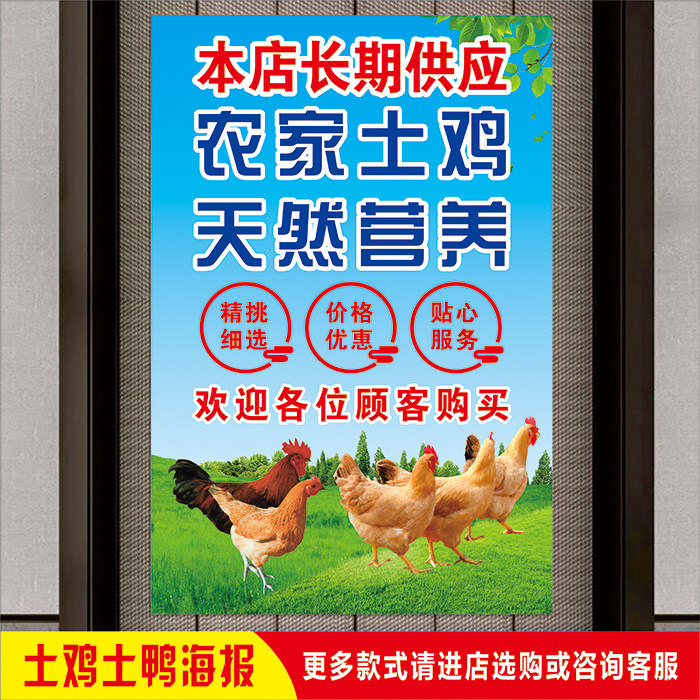 超市菜市场农家散养土鸡土鸭广告家养鸽子海报家禽店墙面宣传贴纸