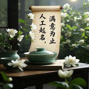 起名取名宝宝起名字取名字人工改名公司店铺商标新生婴儿满意为止