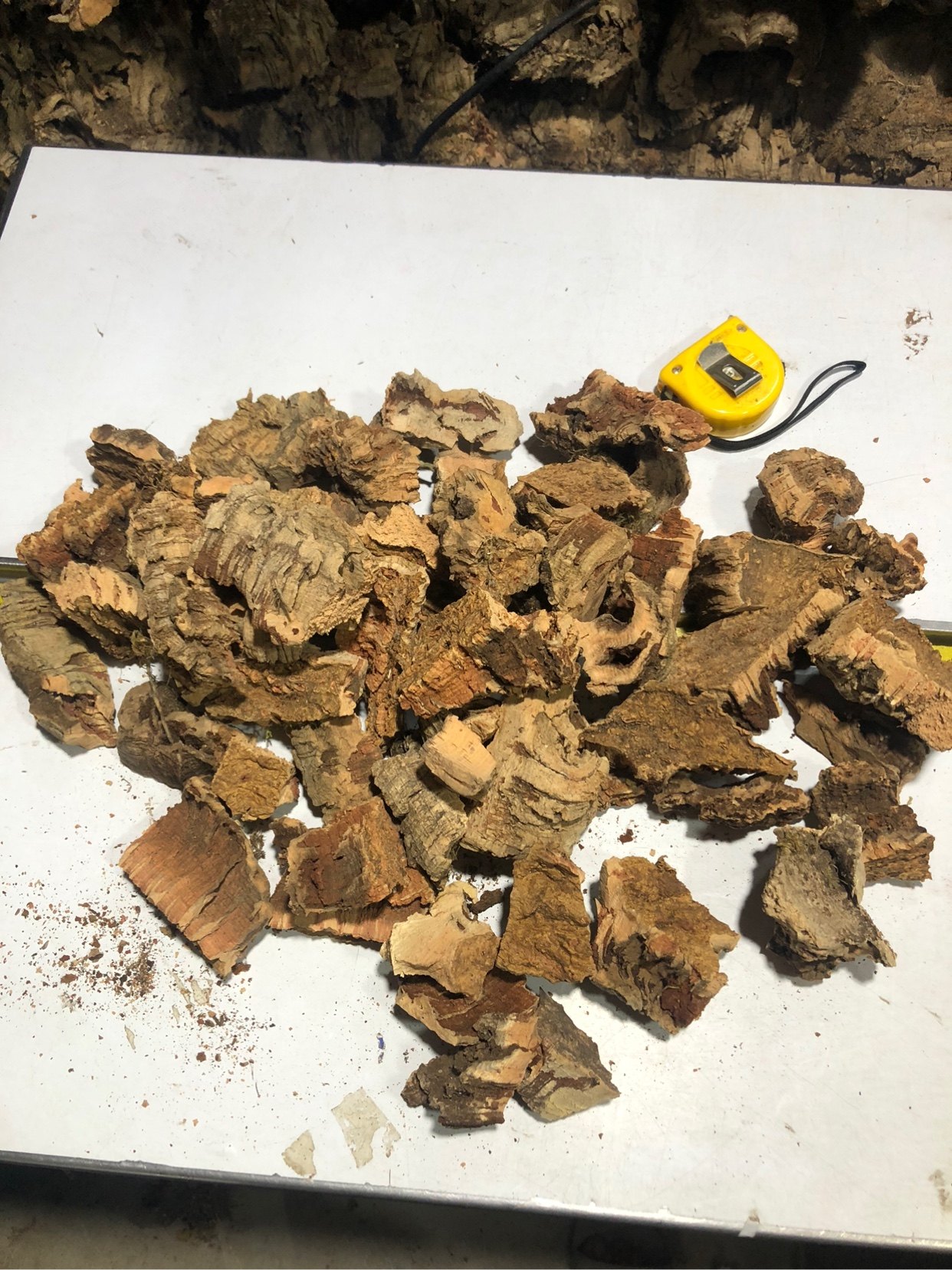 洋兰  适合单茎类  盆栽 树皮 植料 葡萄牙 软木粒 CORK 边角料