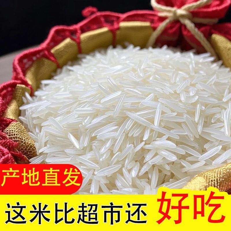 超长正宗丝苗米长粒香新米1-5斤南方农家大米煲仔饭专用米香浓郁