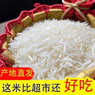 超长正宗丝苗米长粒香新米1 5斤南方农家大米煲仔饭专用米香浓郁