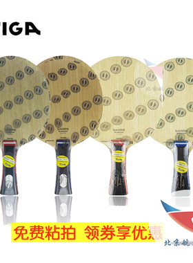 北京an航天stiga4590乒乓球拍
