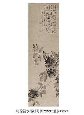 明徐渭水墨牡丹图花鸟画微喷