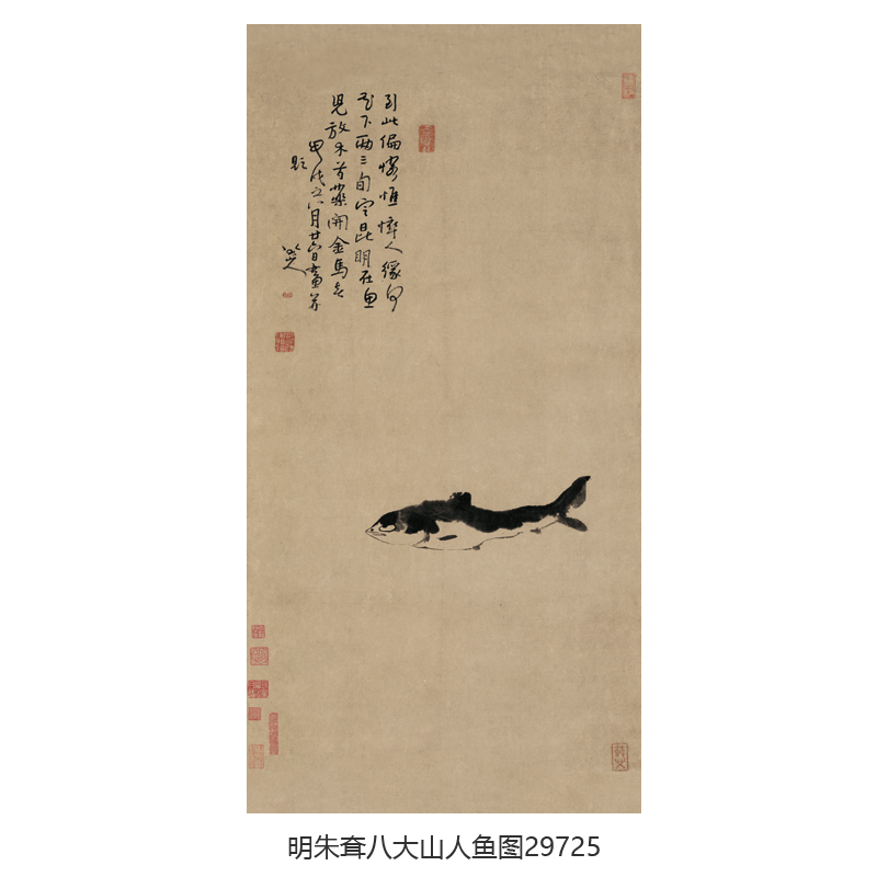 清明朱耷八大山人鱼图卷轴中式装饰画水墨花鸟画玄关茶楼挂画字画图片