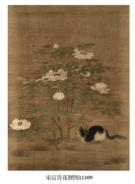 宋富贵花狸图猫趣古代花鸟画卷轴国画字画复制品仿古画装饰画挂画