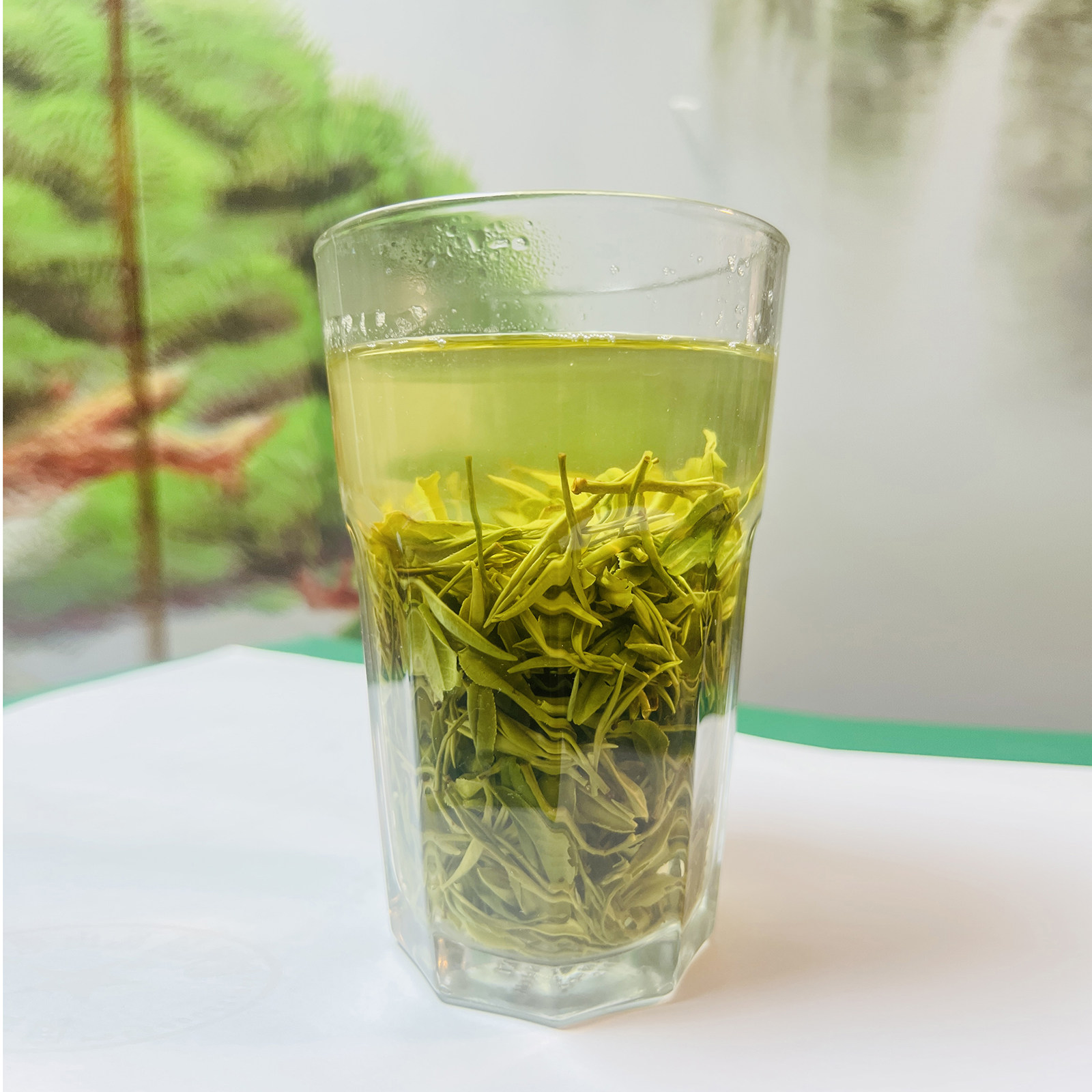 【2026年雨前商城高山茶毛尖】新茶800g商城高山茶绿茶手工茶野茶