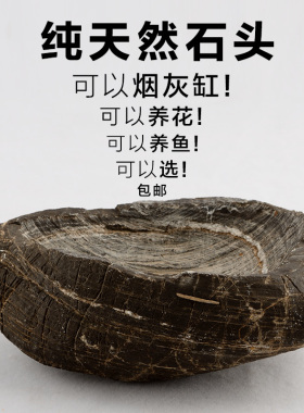 石头花盆创意摆件天然禅意多肉铜钱草菖蒲水培容器室内客厅观赏石