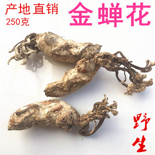 精选新货2023年250克大别山竹林金蝉花蚕花知了花虫草可打粉禅花