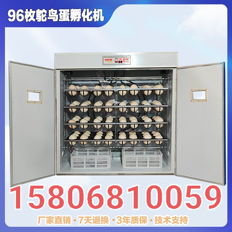 科裕孵化机非洲鸵鸟蛋专用孵化设备全自动智能珍禽特禽中型卵化器