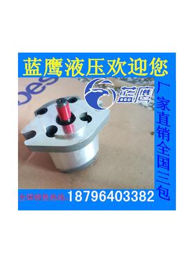 全新1AG1P01R/1GG1P01R/02R/03R/04R/05R/06R/08R/09R齿轮泵包邮