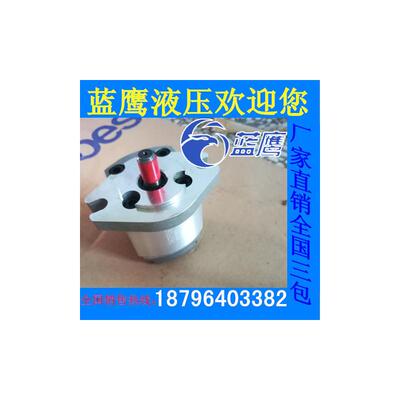 全新1AG1P01R/1GG1P01R/02R/03R/04R/05R/06R/08R/09R齿轮泵包邮