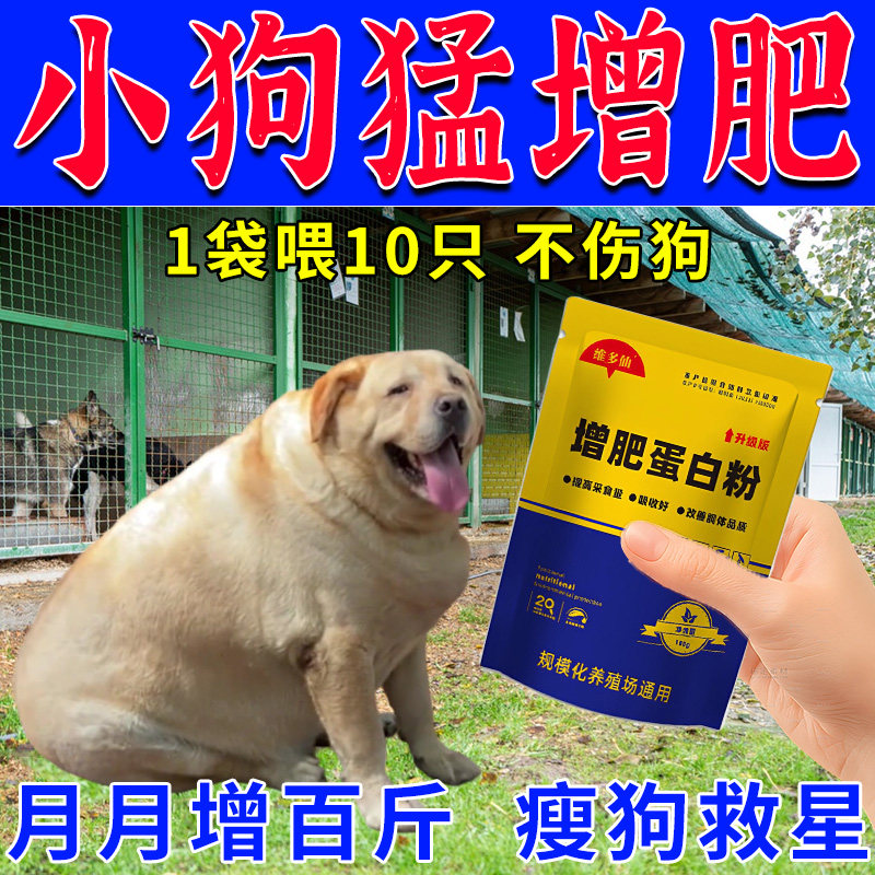 小狗增肥狗狗快速增长蛋白狗狗开饲料添加剂