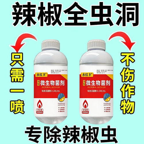 辣椒专用打虫药辣椒蚜虫钻心虫白粉虱蓟马吊丝虫烟青虫辣椒虫害药