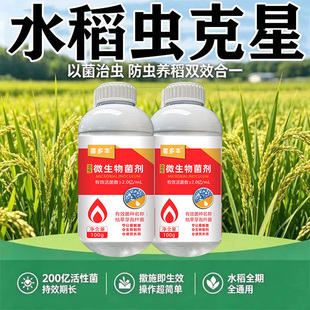 水稻玉米害虫稻纵卷叶螟二化螟稻飞虱钻心虫稻蓟马强效助剂