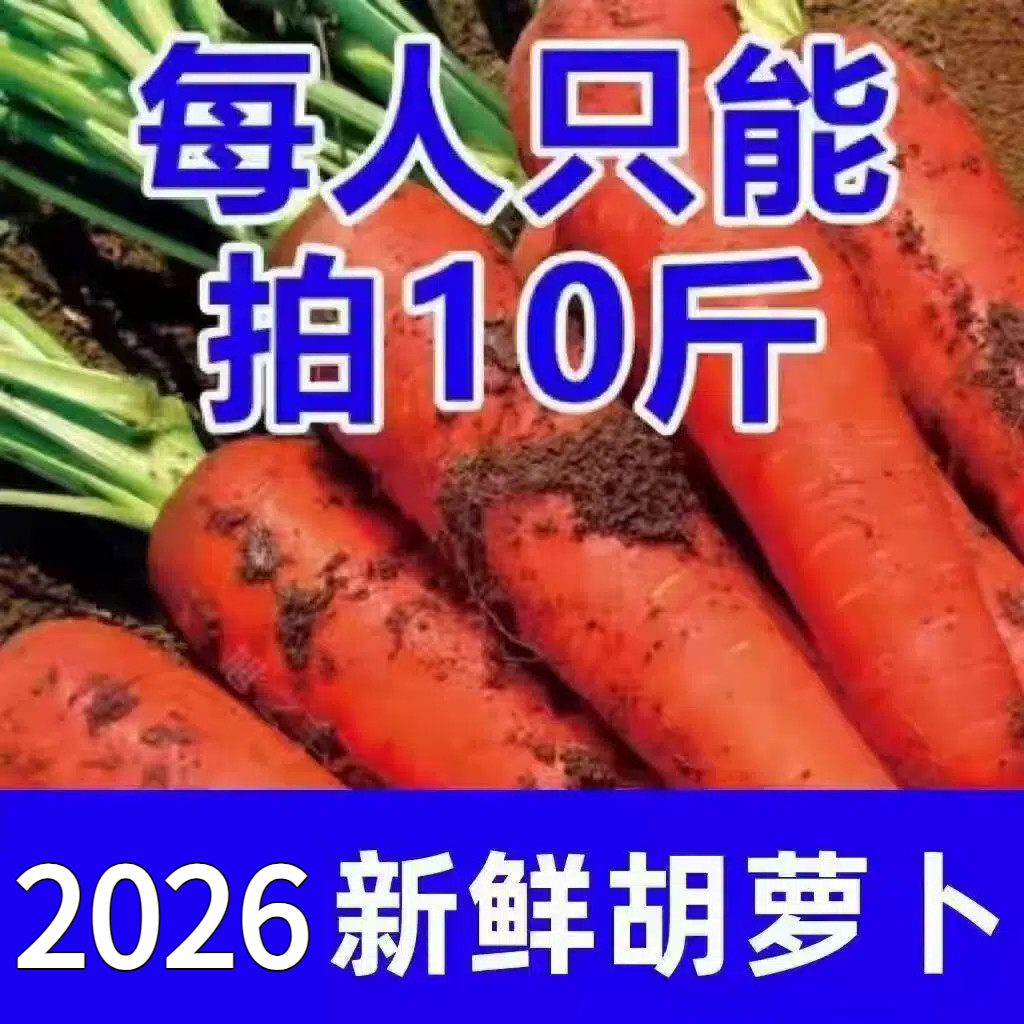 霜打水果脆甜胡萝卜沙地新鲜产地直发宝宝辅食现挖现发腌咸菜带泥图片