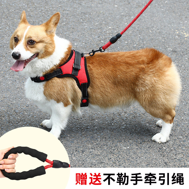 狗项圈大型犬防爆加粗牵引绳背心