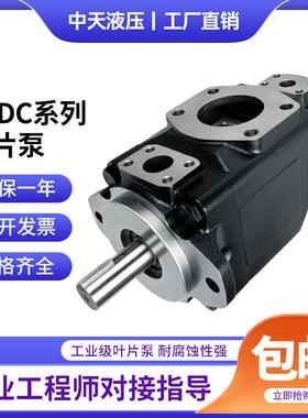 新款中天液压T6DC-028/031/035/038-012/014/017-1R00-A1 叶包邮