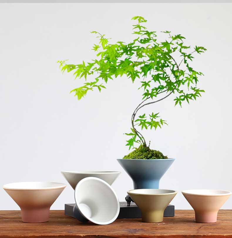 流泉枫禅意陶瓷花盆无孔新中式佛手杆文竹苔藓盆艺术创意桌面摆件