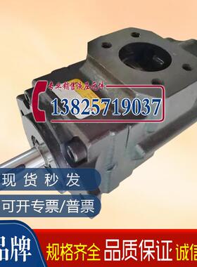 新款注塑机双联泵高压泵KT67CB-008-B06-2R00压铸机械液压泵包邮