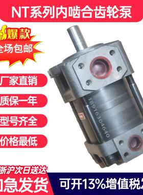 新款高压油泵泵头NT2-G16F NT3-G25F 32F NT4-G63F大流量内啮包邮