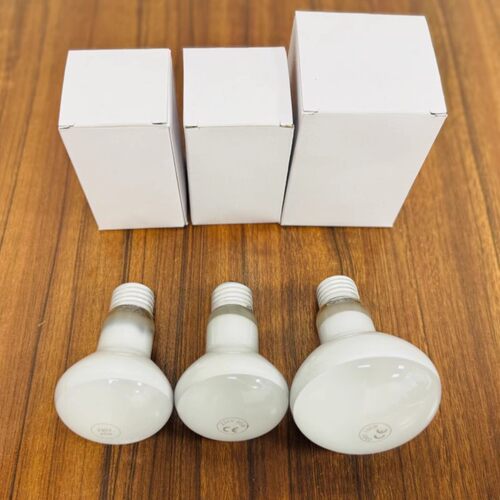 富达R80灯泡爬虫宠物