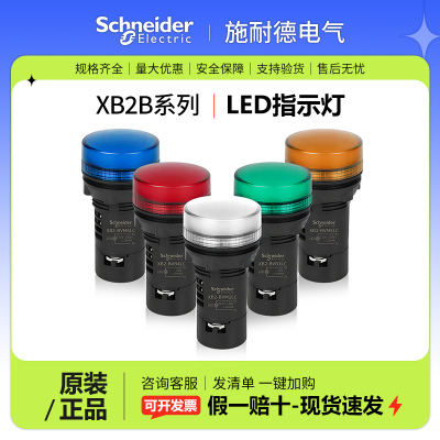 施耐德XB2BVM4LC指示灯XB2BVM3LC