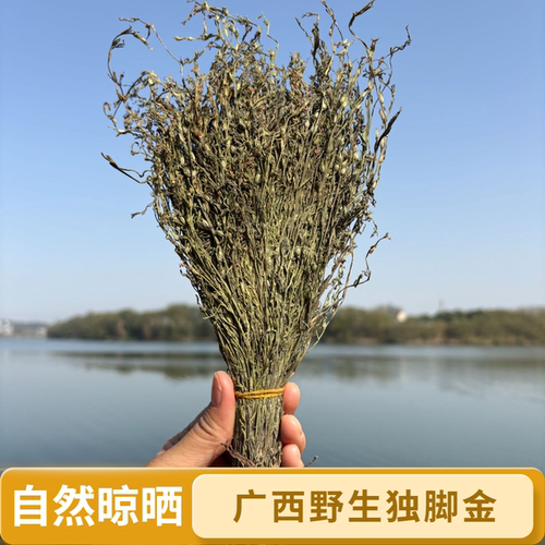 深山独脚金疳积草正宗山货