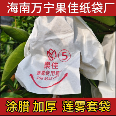 果佳莲雾套袋黑金刚莲雾果袋黑糖芭比莲雾套袋拍1件是100张