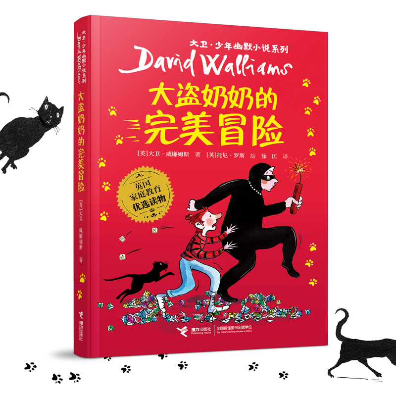 接力出版社大盗奶奶的完美冒险