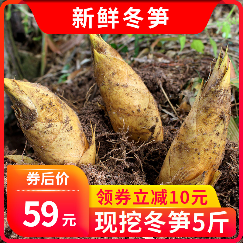 2021农家现挖新鲜冬笋5斤装湖南炎陵特产黄泥竹笋嫩笋生鲜蔬菜在类目 水产肉类/新鲜蔬果/熟食, 新鲜蔬菜/蔬菜制品, 新鲜蔬菜, 竹笋中 - 来自Buy2taobao.com提供专业的淘宝代购服务