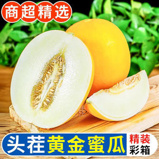 当季黄河蜜瓜新鲜整箱10斤孕妇水果现摘黄金香瓜甜瓜陕西阎良甜瓜