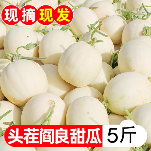 现摘陕西阎良甜瓜5斤新鲜水果当季头茬白皮香瓜蜜瓜脆甜羊角整箱