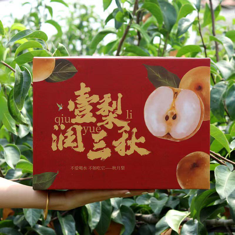 山东现摘秋月梨正宗脆甜多汁大果