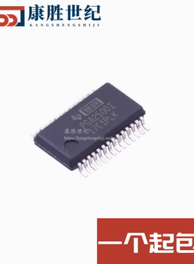 PGA2500I PGA2500IDB 音频放大器 全新原装现货 SSOP28 可直拍