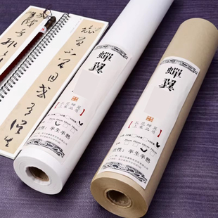 半生熟雁皮蝉翼长卷作品纸毛笔字书法临帖小楷行楷手札书法艺术创作专用日课纸工笔线描临摹仿古白色蝉衣皮纸