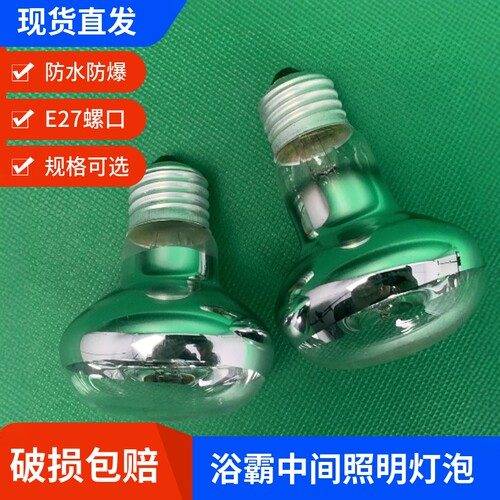 灯暖浴霸中间照明灯泡LED灯通用
