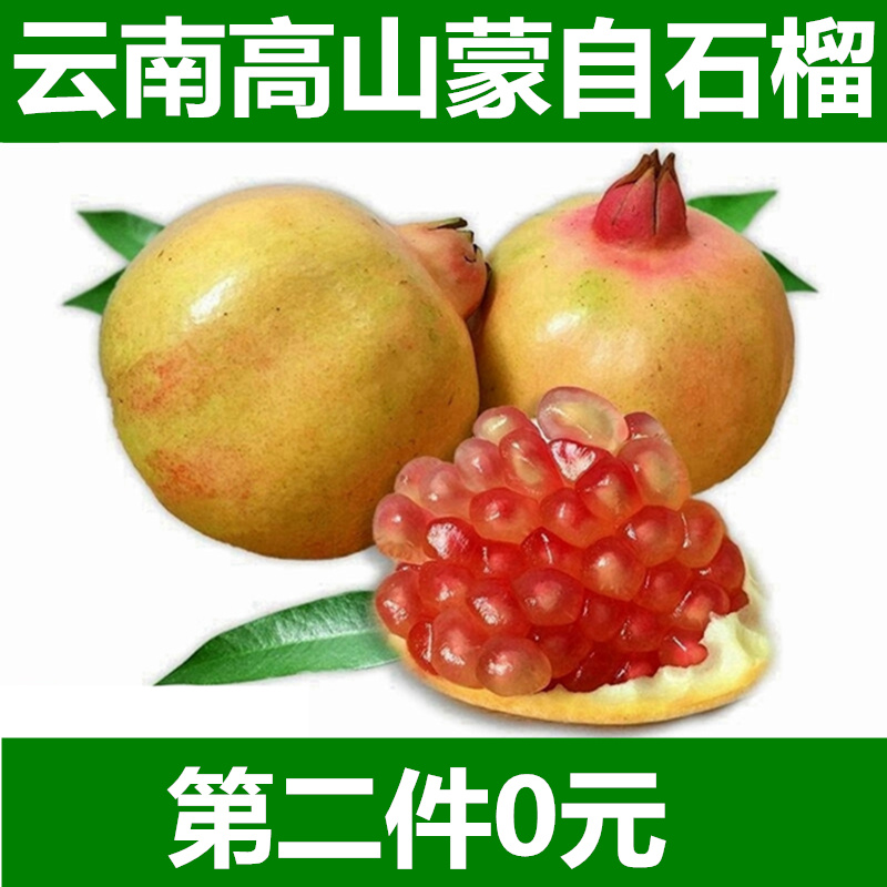 ÐÂÏÊÇÀ¹º