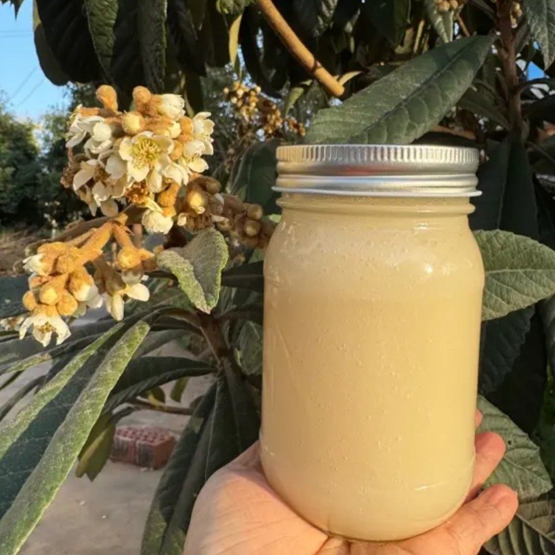 枇杷蜜纯正天然无添加蜂蜜 一年仅割一次纯土蜂蜜500g