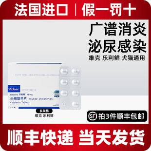 维克乐利鲜宠物头孢氨苄片狗猫皮肤病尿路感染猫咪狗狗消炎药猫藓