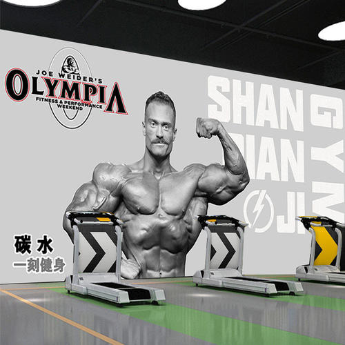 3D健美肌肉男拳击跆拳道壁画