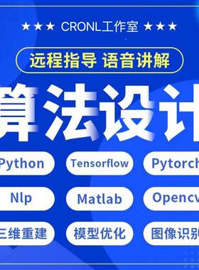 Python代编程深度学习代做opencv算法Java代写小程序开发制作项目