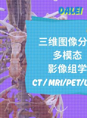 医学图像处理python三维图像分割深度学习人工智能软件开发CT MR