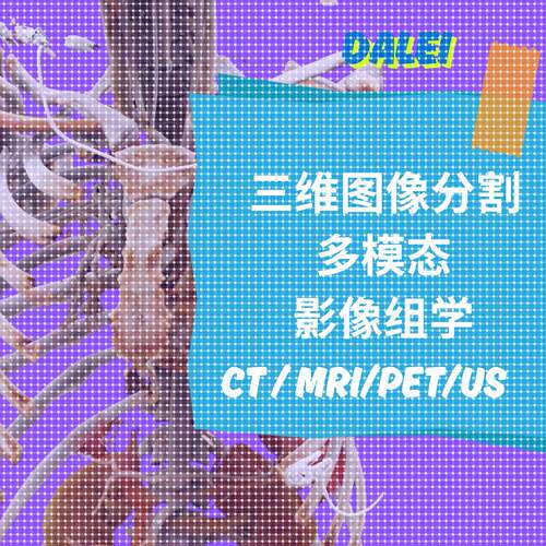 医学图像处理python三维图像分割深度学习人工智能软件开发CT MR