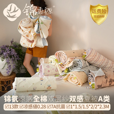 全棉双层纱锦氨冰皮双感空调夏被