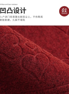 Floor Mat home doormat and foot mat stain-resistant openin