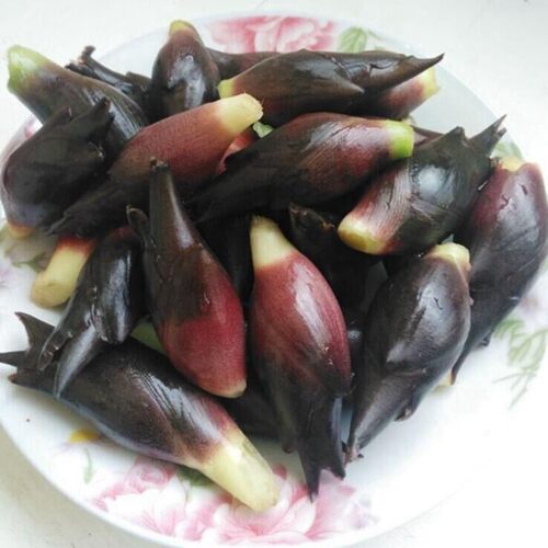 恩施阳荷茗荷姜阳藿山姜观音花野生姜莲花姜湖北恩施 小麦优选