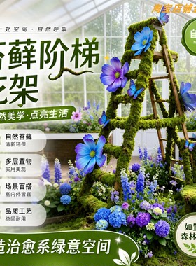 苔藓阶梯花架装饰摆件自然系