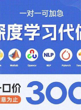 python代编程深度学习代码指导强化学习项目模型训练代做辅导接单